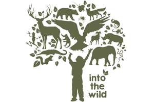Into the wild Logo