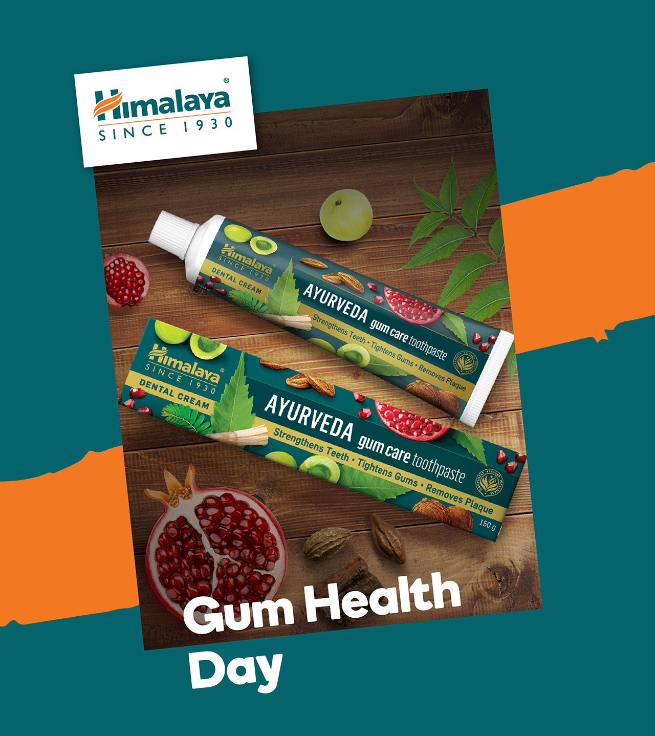 Himalaya Oral Care – It Starts With Gums